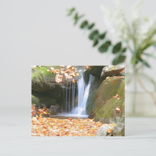 Iets anders briefkaart (Staand voorkant)