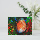 Iets Fishy Briefkaart (Staand voorkant)