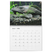 Iets Fishy Kalender (Mar 2026)