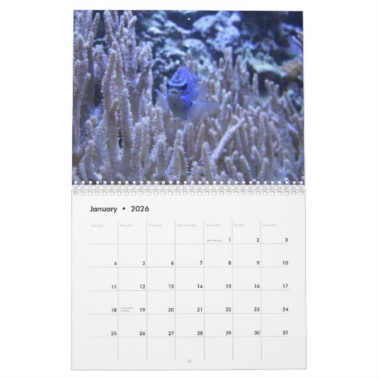 Iets Fishy Kalender (Jan 2026)
