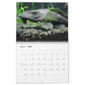 Iets Fishy Kalender (Mar 2027)