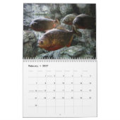 Iets Fishy Kalender (Feb 2027)