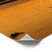 Iets in het Sinaasappel - Ducks Poster (Hoek)