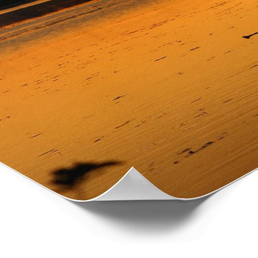 Iets in het Sinaasappel - Ducks Poster (Hoek)