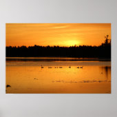 Iets in het Sinaasappel - Ducks Poster (Voorkant)