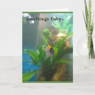 Iets is Fishy Angel Fish Wenskaart Kaart