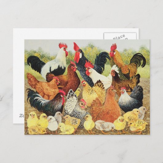 Iets om over te klagen briefkaart (Voorkant / Achterkant)