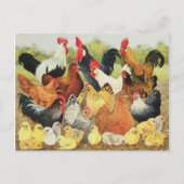 Iets om over te klagen briefkaart (Voorkant)