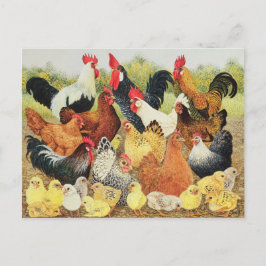 Iets om over te klagen briefkaart