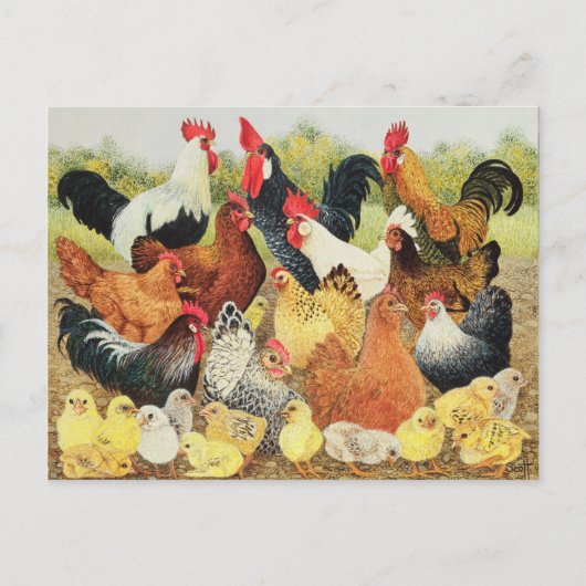 Iets om over te klagen briefkaart (Voorkant)