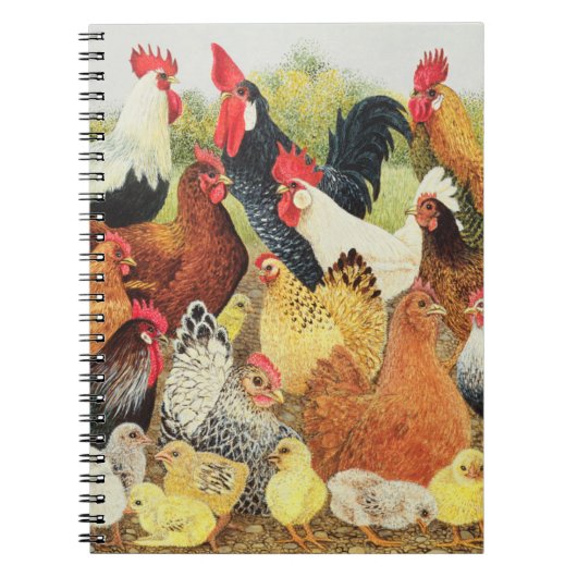 Iets om over te kraaien notitieboek (Voorkant)
