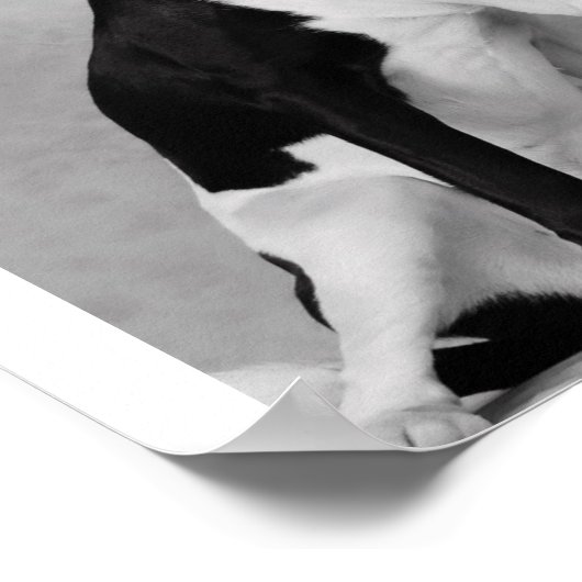 Iets om te eten? poster (Hoek)