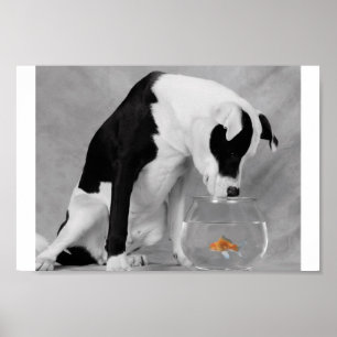 Iets om te eten? poster