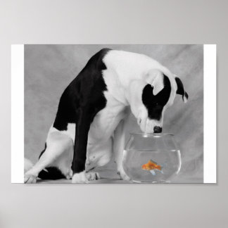 Iets om te eten? poster