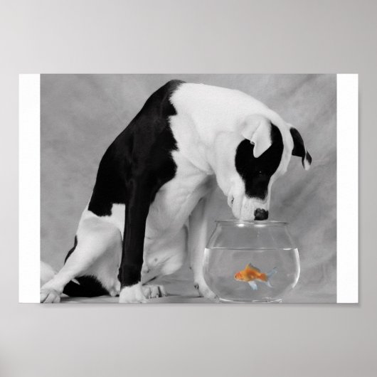 Iets om te eten? poster (Voorkant)