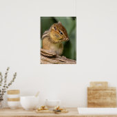 Iets ruikt naar chipmunk poster (Keuken)
