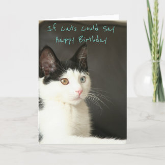 If Cats Could Say Happy Birthday Kaart