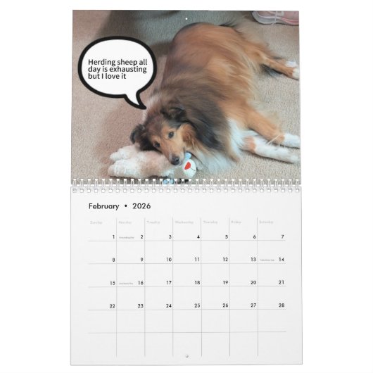 If Shelties could talk Kalender (Feb 2026)