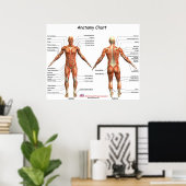 IFA-anatomiegrafiek Poster (Thuiskantoor)