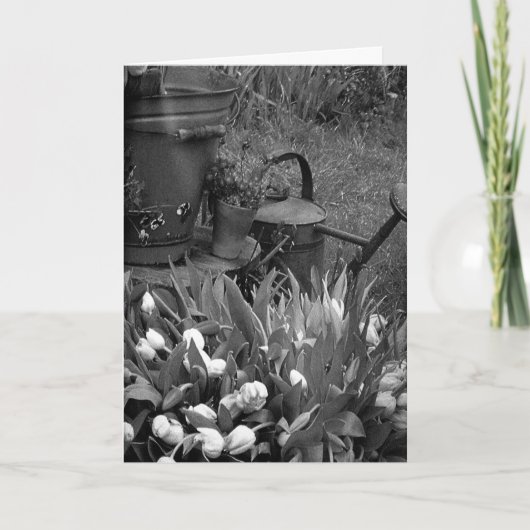 IFELICES PASCUAS GELUKKIG PASEN IN HET SPAANS FEESTDAGEN KAART (Voorkant)