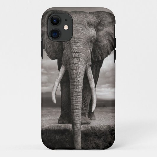 ifoon, olifant Case-Mate iPhone case (Achterkant)