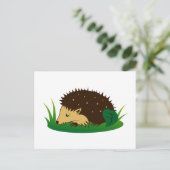 Igel hedgel briefkaart (Staand voorkant)