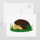 Igel hedgel briefkaart (Voorkant / Achterkant)