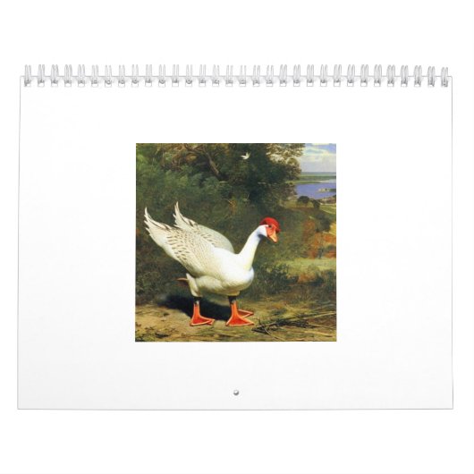 IGF 2025 Kalender (Hoes)