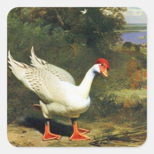 IGF-Sticker Vierkante Sticker