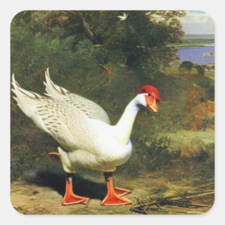 IGF-Sticker Vierkante Sticker