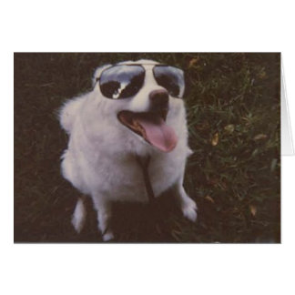 iggie door peace willow