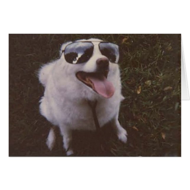 iggie door peace willow (Voorkant Horizontaal)