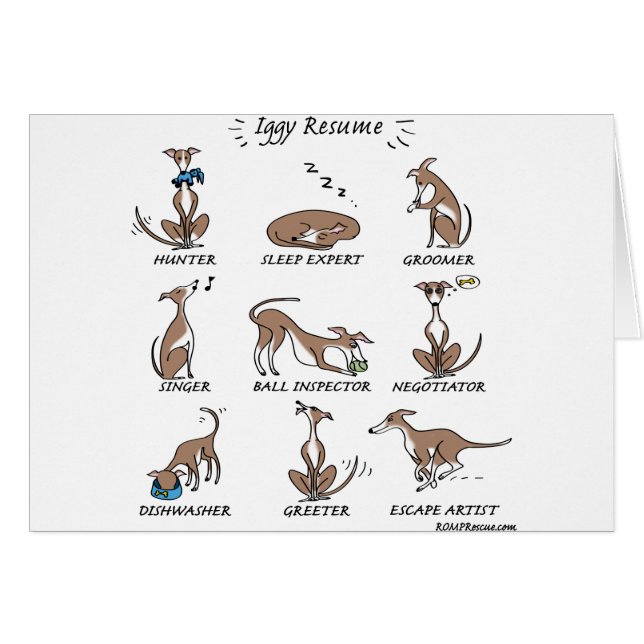 Iggy Rescue (Voorkant Horizontaal)