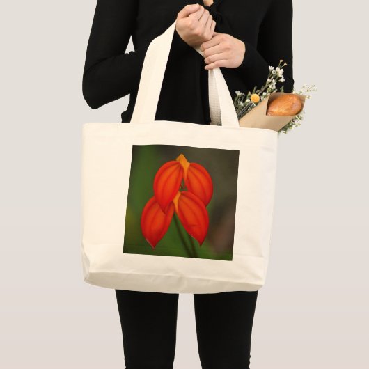IgneaOrchidee van Masdevallia Grote Tote Bag (Voorkant (product))