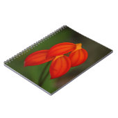 IgneaOrchidee van Masdevallia Notitieboek (Linkerzijde)