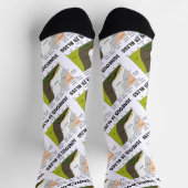 Igneous is Bliss Silica Content Geology Humor Sokken (Top)