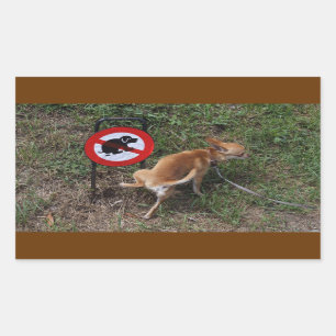Ignorance is Bliss Bad Chihuahua Rechthoekige Sticker
