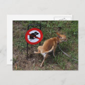 Ignorance is geblazen briefkaart (Voorkant / Achterkant)