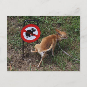 Ignorance is geblazen briefkaart