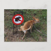 Ignorance is geblazen briefkaart (Voorkant)