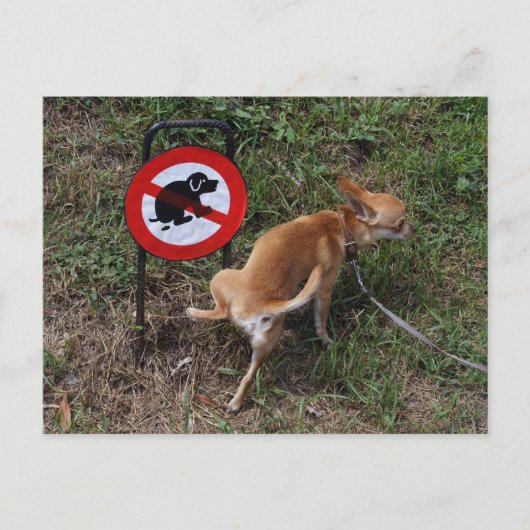 Ignorance is geblazen briefkaart (Voorkant)