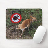 Ignorance is geblazen muismat (Met muis)