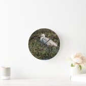 Igrid Ronde Klok (Huis)