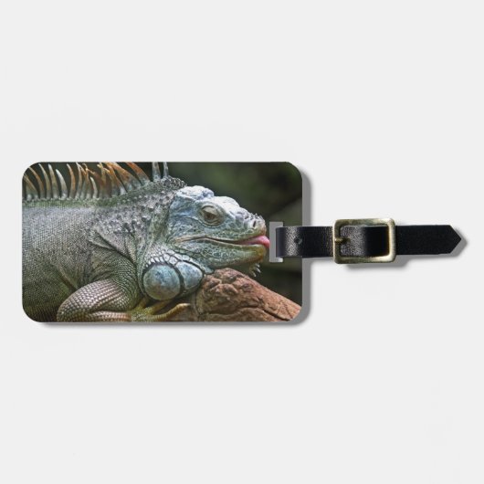 Iguana aangepast bagagelabel (Voorkant horizontaal)