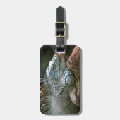 Iguana aangepast bagagelabel (Voorkant verticaal)
