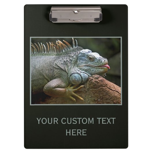 Iguana aangepast klembord (Voorkant)