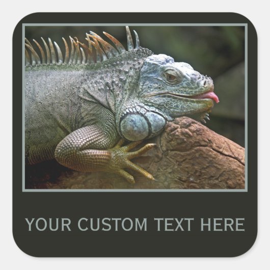 Iguana aangepaste stickers (Voorkant)