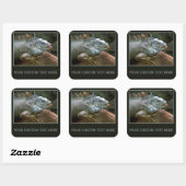 Iguana aangepaste stickers (Vel)