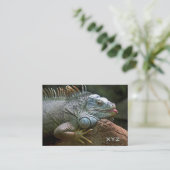 Iguana aangepaste visitekaartjes (Staand voorkant)