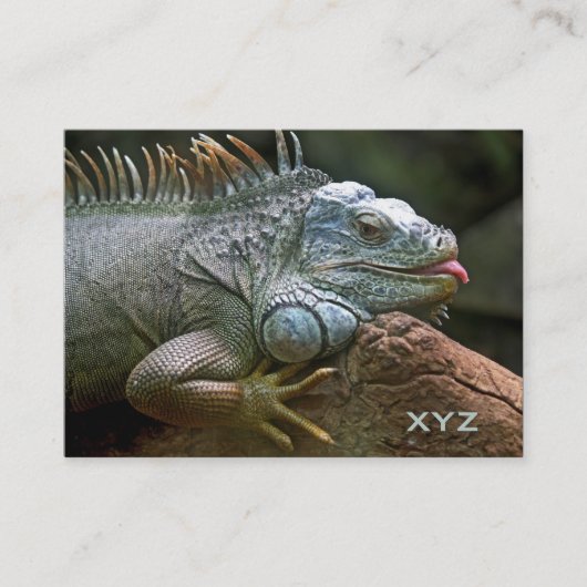 Iguana aangepaste visitekaartjes (Voorkant)